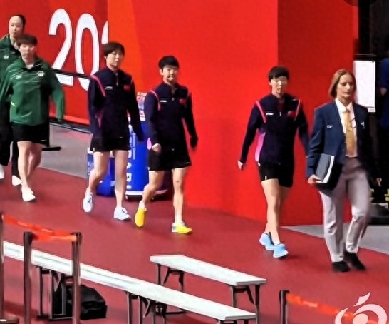 中国女篮直播_中国女篮免费在线高清直播_中国女篮视频在线观看无插件