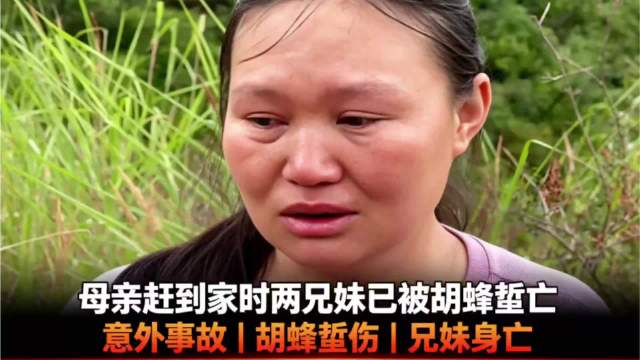 两兄妹被胡蜂蜇亡母亲赶回已迟，养殖者赔4万未道歉